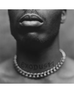 DMX - Exodus LP
