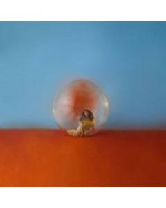 Alessia Cara - In The Meantime LP