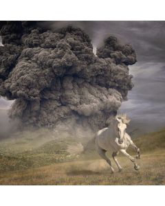 The White Buffalo - Year Of The Dark Horse CD