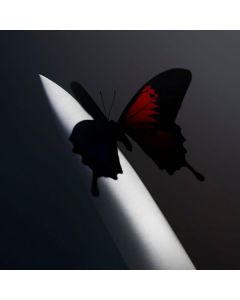 Post Malone - Twelve Carat Toothache LP