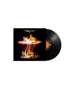 Irreversible Entanglements - Protect Your Light LP