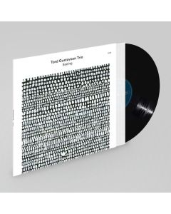 Tord Gustavsen - Seeing LP