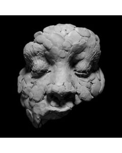 Joy Oladokun - Observations From A Crowded Room LP