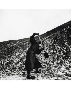 Drangsal - Aus keiner meiner Brücken die in Asche liegen ist je ein Phönix emporgestiegen LP