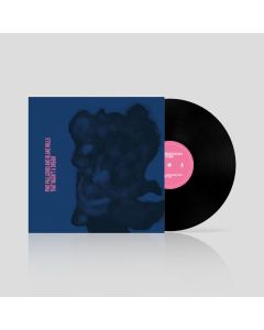 Pino Palladino & Blake Mills - That Wasn't A Dream LP