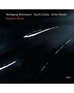 Wolfgang Muthspiel - Angular Blues CD