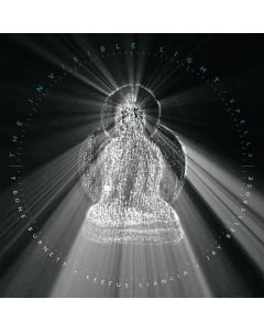 T Bone Burnett, Jay Bellerose & Keefus Ciancia - Invisible Light: Spells (180g) LP