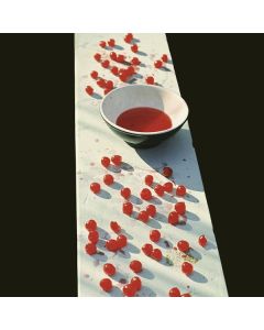 Paul McCartney - McCartney (remastered) (180g) LP