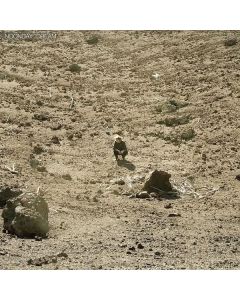 Ben Howard - Noonday Dream (180g) LP