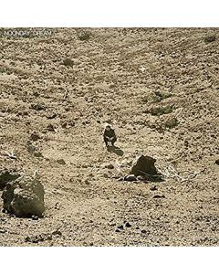 Ben Howard - Noonday Dream (180g) (Limited Edition) LP