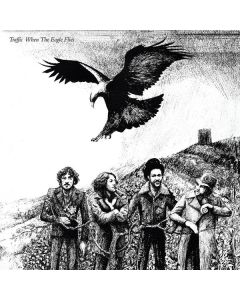 Traffic - When The Eagle Flies (remastered) (180g) LP