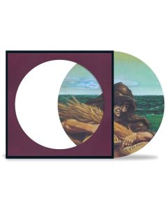 Grateful Dead - Wake Of The Flood (50th Anniversary) (remastered) (Limited Edition) (Picture Disc) LP