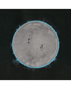 Endless Boogie - Vibe Killer CD