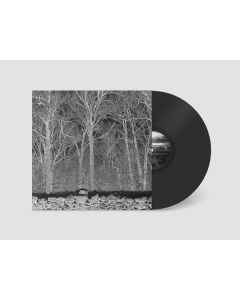 Pile - Sunshine And Balance Beams (Limited Edition) LP