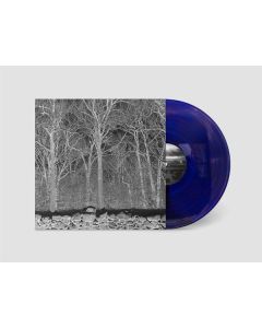 Pile - Sunshine And Balance Beams (Transparent Purple Vinyl) LP