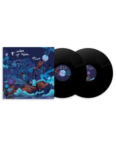 Aja Monet - The Color Of Rain LP