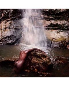 Moses Sumney - Græ LP