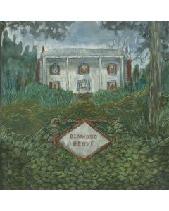 Weirs - Diamond Grove LP