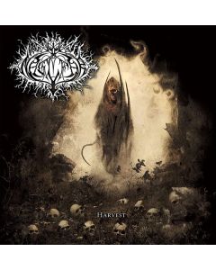 Naglfar - Harvest (Limited Edition) (Gold Vinyl) LP