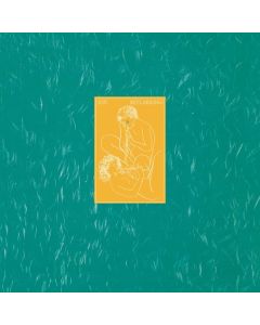 XTC - Skylarking (2016 Steven Wilson Mix) (200g) LP