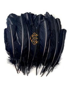 David Eugene Edwards - Hyacinth CD