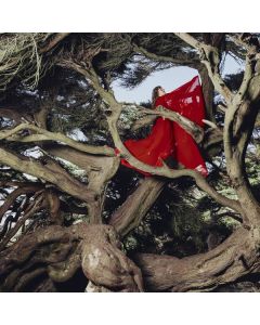 Hannah Frances - Nested In Tangles (Crimson Vinyl) LP