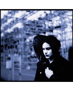 Jack White (White Stripes) - Blunderbuss CD