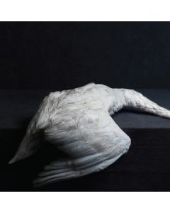 Amenra - Mass VI CD
