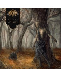 Fires In The Distance - Echoes From Deep November CD