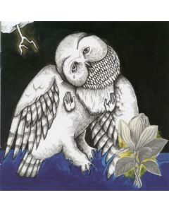 Songs:Ohia - The Magnolia Electric Co. CD