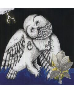 Songs: Ohia - Magnolia Electric Co. (10th-Anniversary-Deluxe-Edition) LP