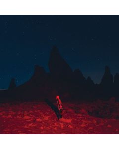 Phoebe Bridgers - Punisher LP