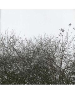 Simon Joyner - Lost With The Lights On LP