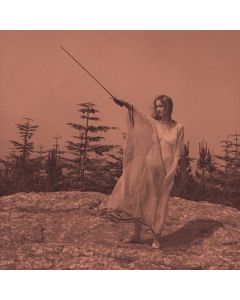 Unknown Mortal Orchestra - II LP