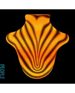 Big Red Machine - Big Red Machine LP