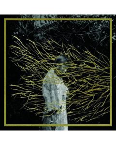 Forest Swords - Emgravings CD