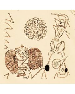 Devendra Banhart - Rejoicing In The Hands CD