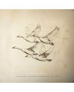 Near The Pond - Wild Geese CD