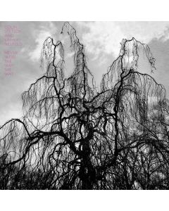 Colin Stetson & Sarah Neufeld - Never Were The Way She Was (180g) LP