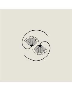 Godspeed You! Black Emperor - G_d's Pee At State's End! CD