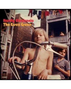 The Essex Green - Hardly Electronic LP