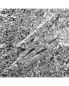 Say She She - Silver (Transparent Pink Vinyl) LP