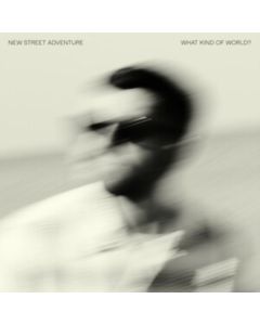 New Street Adventure - What Kind Of World? CD