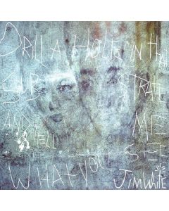 Jim White - Drill A Hole In That Substrate And Tell Me What You See LP