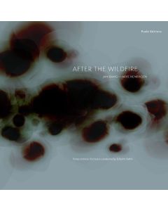 Jan Bang & Arve Henriksen - After The Wildfire CD