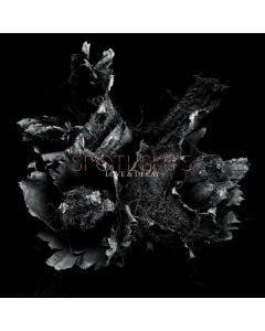 Spotlights - Love & Decay (Bright Purple Vinyl) LP