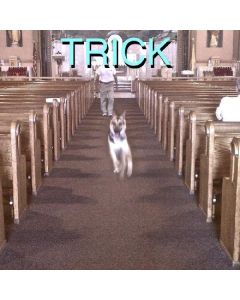 Alex G - Trick LP