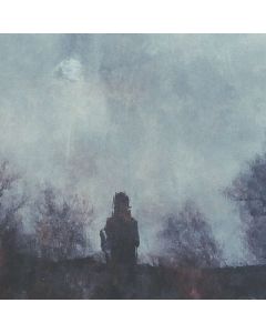 Stray Theories - All That Was Lost CD