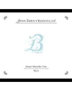 John Zorn - The Bagatelles Vol. 6: Brian Marsella Trio CD