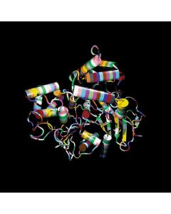 The Other Two - Super Highways (Expanded Edition) CD